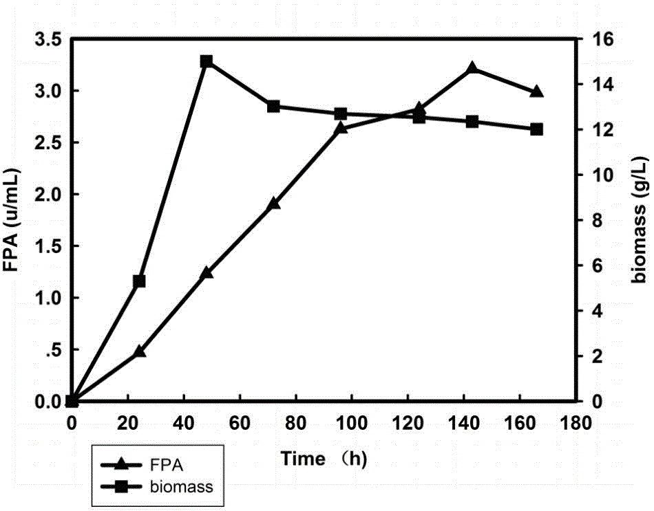 Method for replenishing nitrogen source culture fungus in batch to produce cellulase