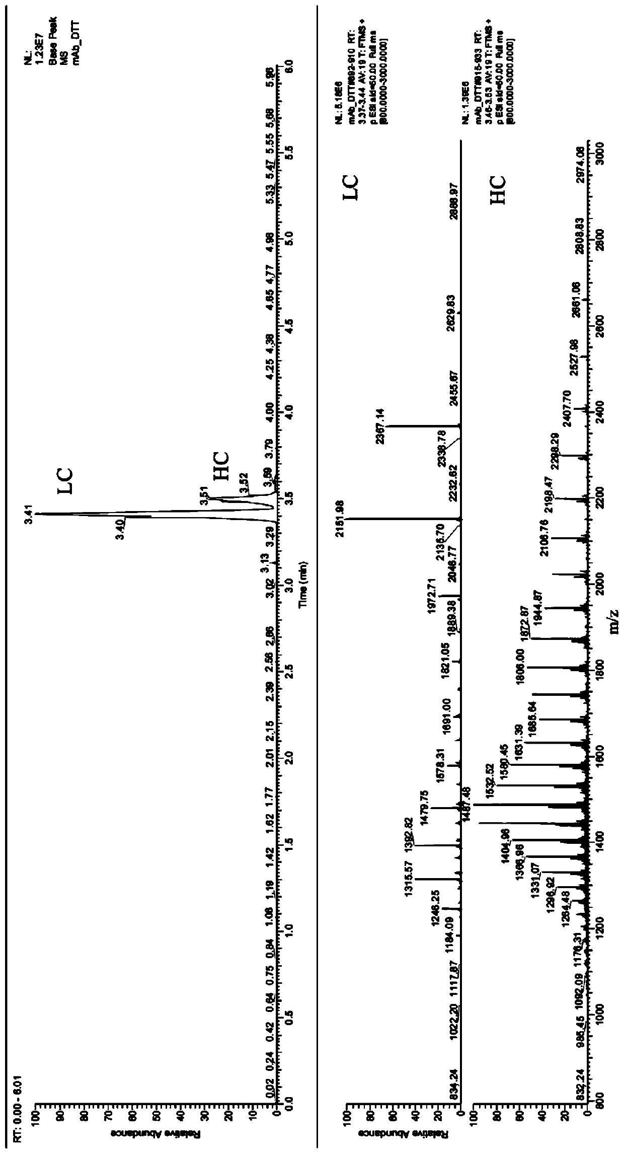 A Rapid Analysis Method for Monoclonal Antibody N-Glycoforms