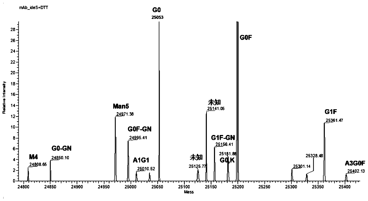 A Rapid Analysis Method for Monoclonal Antibody N-Glycoforms