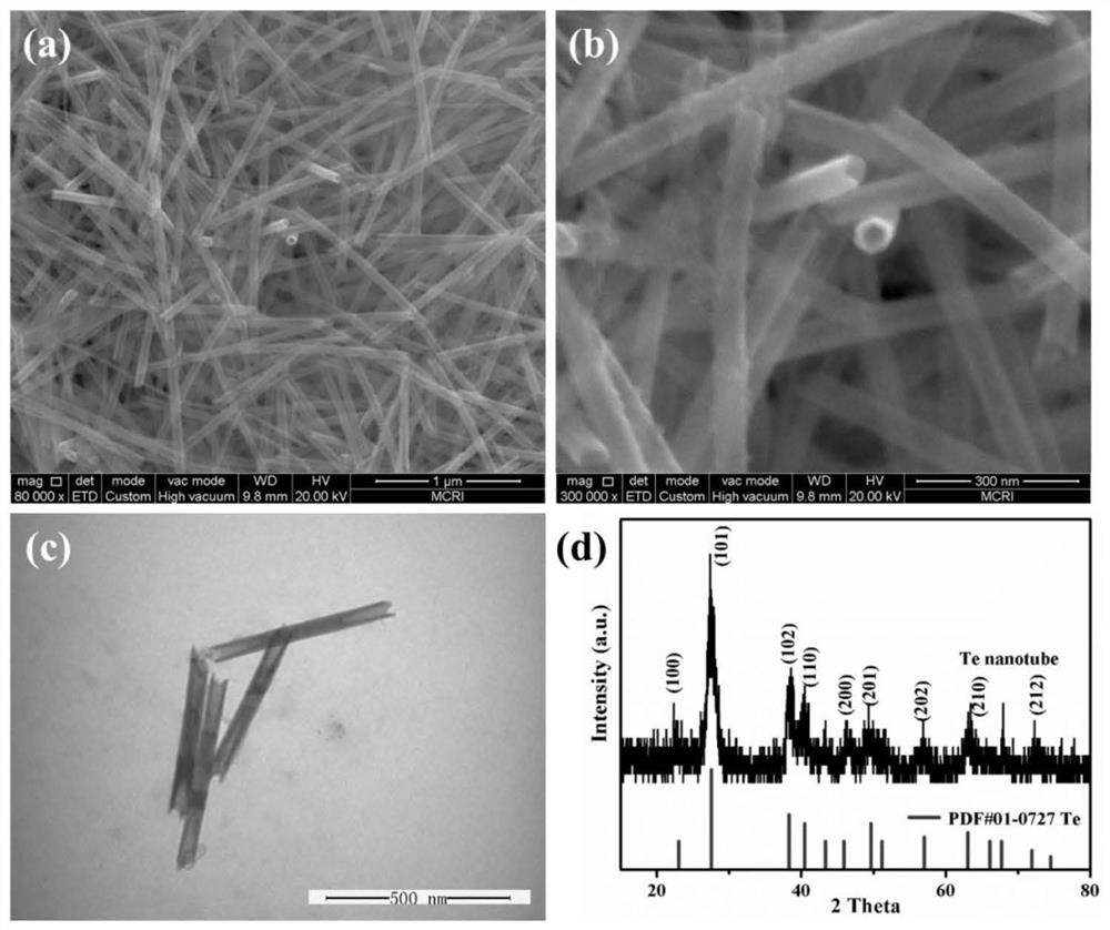 Metal telluride nanotube and universal preparation method thereof