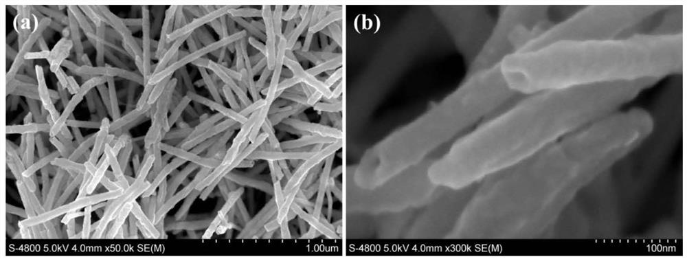 Metal telluride nanotube and universal preparation method thereof