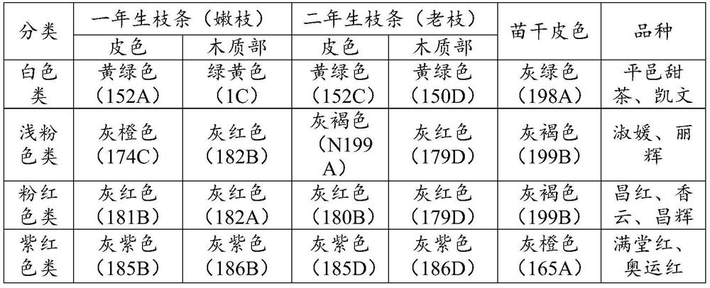 Method for identifying flower colors of malus spectabilis nursery stocks in autumn and winter and application