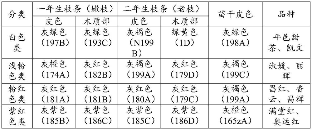 Method for identifying flower colors of malus spectabilis nursery stocks in autumn and winter and application