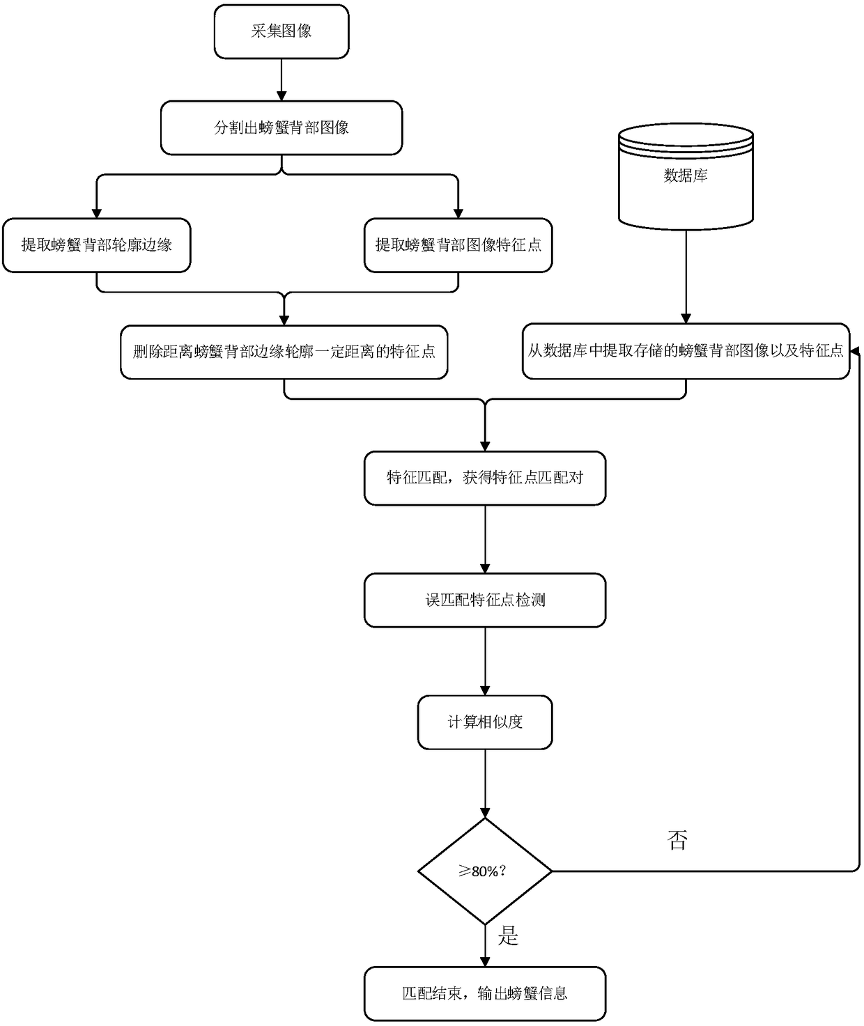 Chinese mitten crab uniqueness recognition method based on image matching