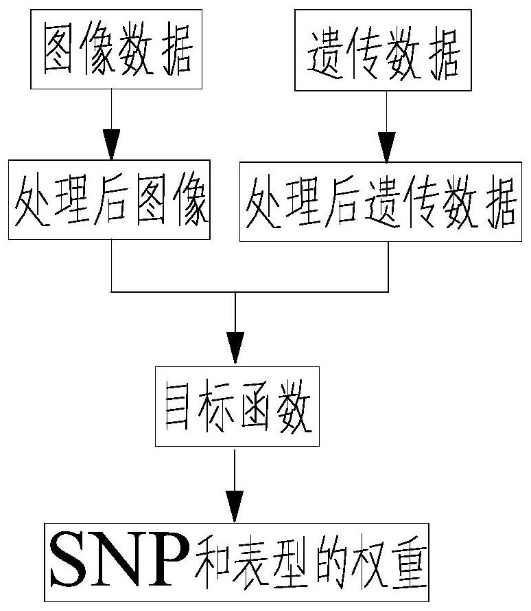 Non-linear correlation analysis method based on joint structure constraint and incomplete multi-modal data