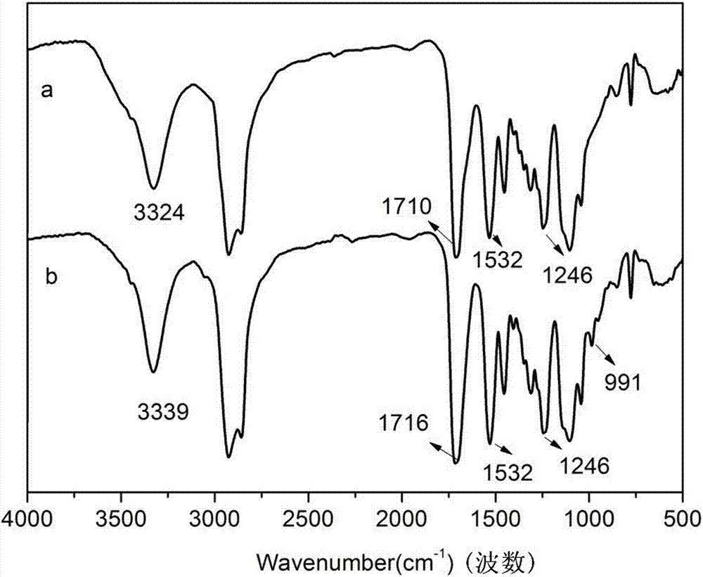 Tung oil polyol base post-crosslinkable amphoteric polyurethane and preparation method thereof