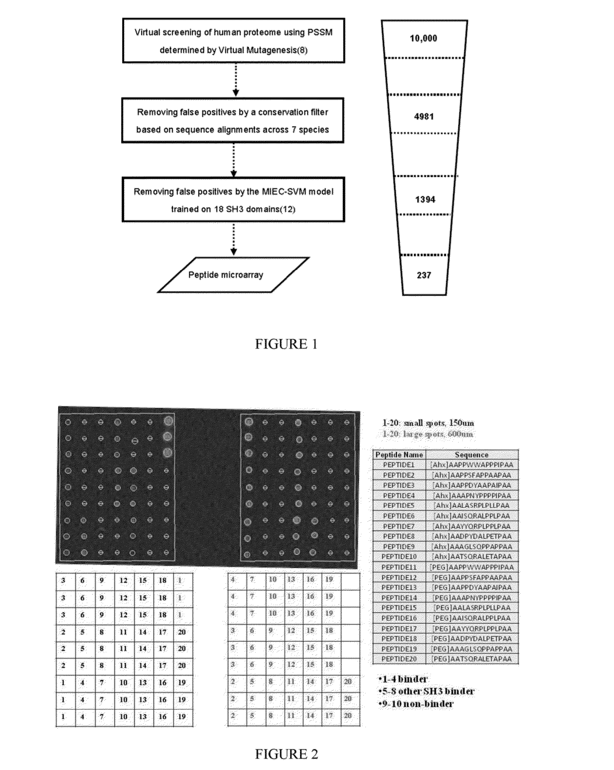 Peptide microarray and method of use