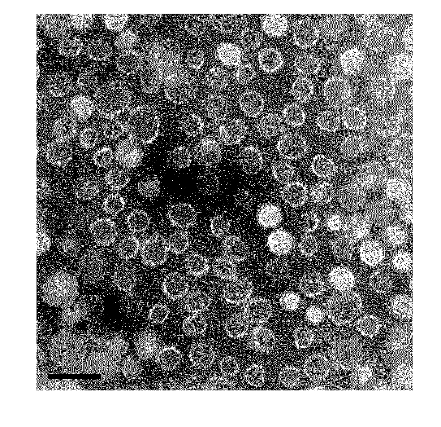 Truncated l1 protein of human papillomavirus type 18