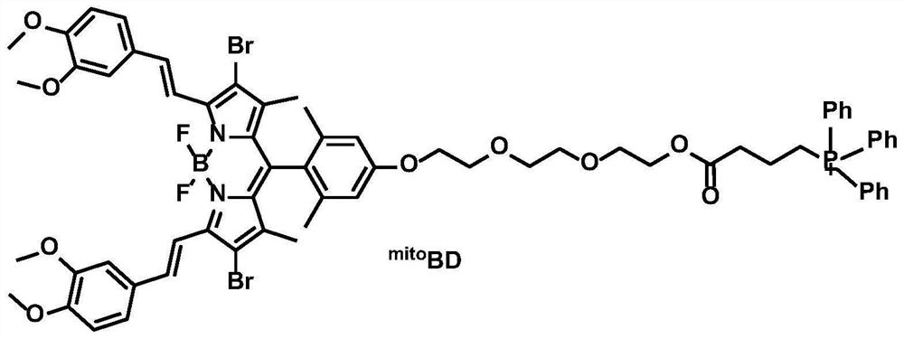 Preparation and application of mitochondrial targeting photosensitizer based on BODIPY