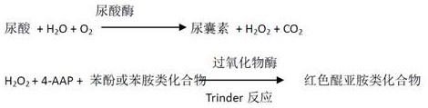 A uric acid kit capable of eliminating the interference of calcium dobesilate and fensulfate in serum and its preparation method