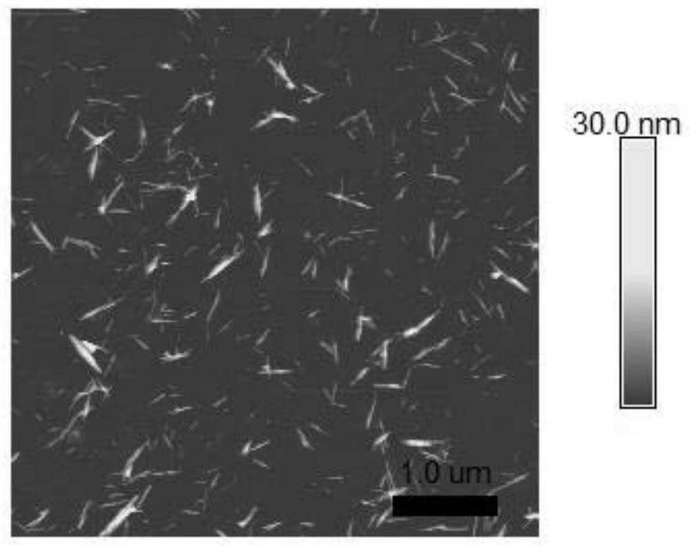 A kind of red tide algae algaecide based on natural polyphenol modified nanocellulose and its application