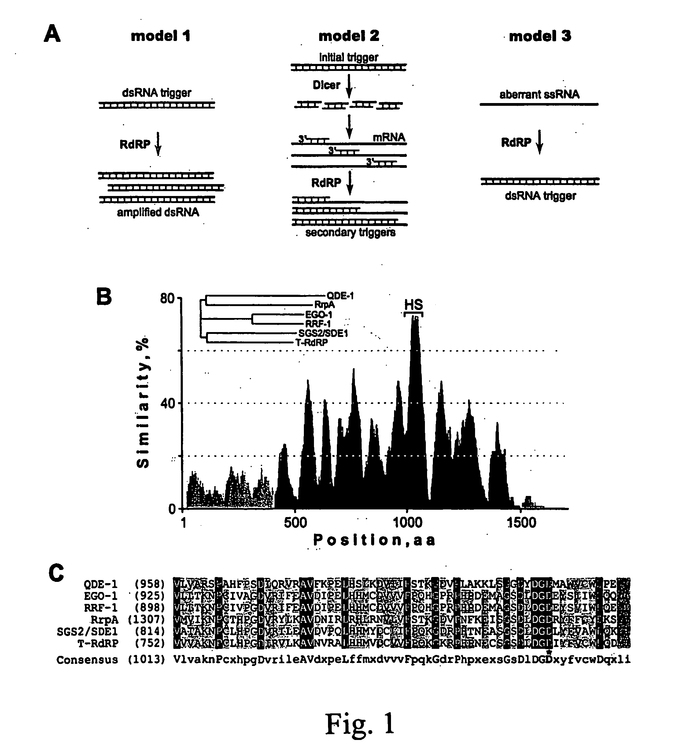 Soluble rna polymerase protein and methods for the use thereof