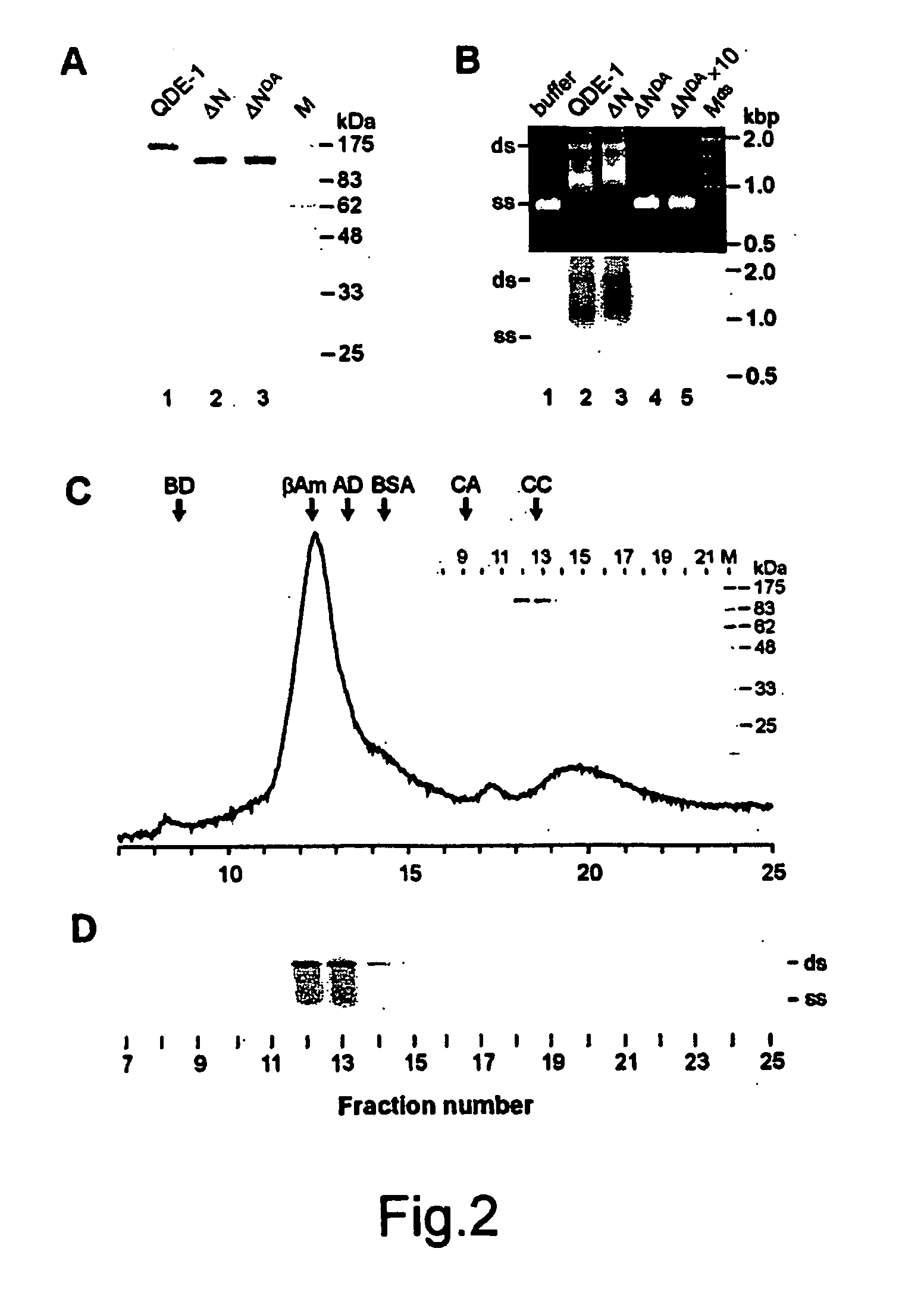 Soluble rna polymerase protein and methods for the use thereof