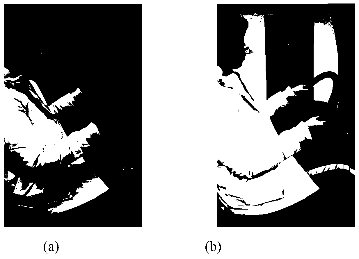 Driver posture detection method based on video and skin color area distance