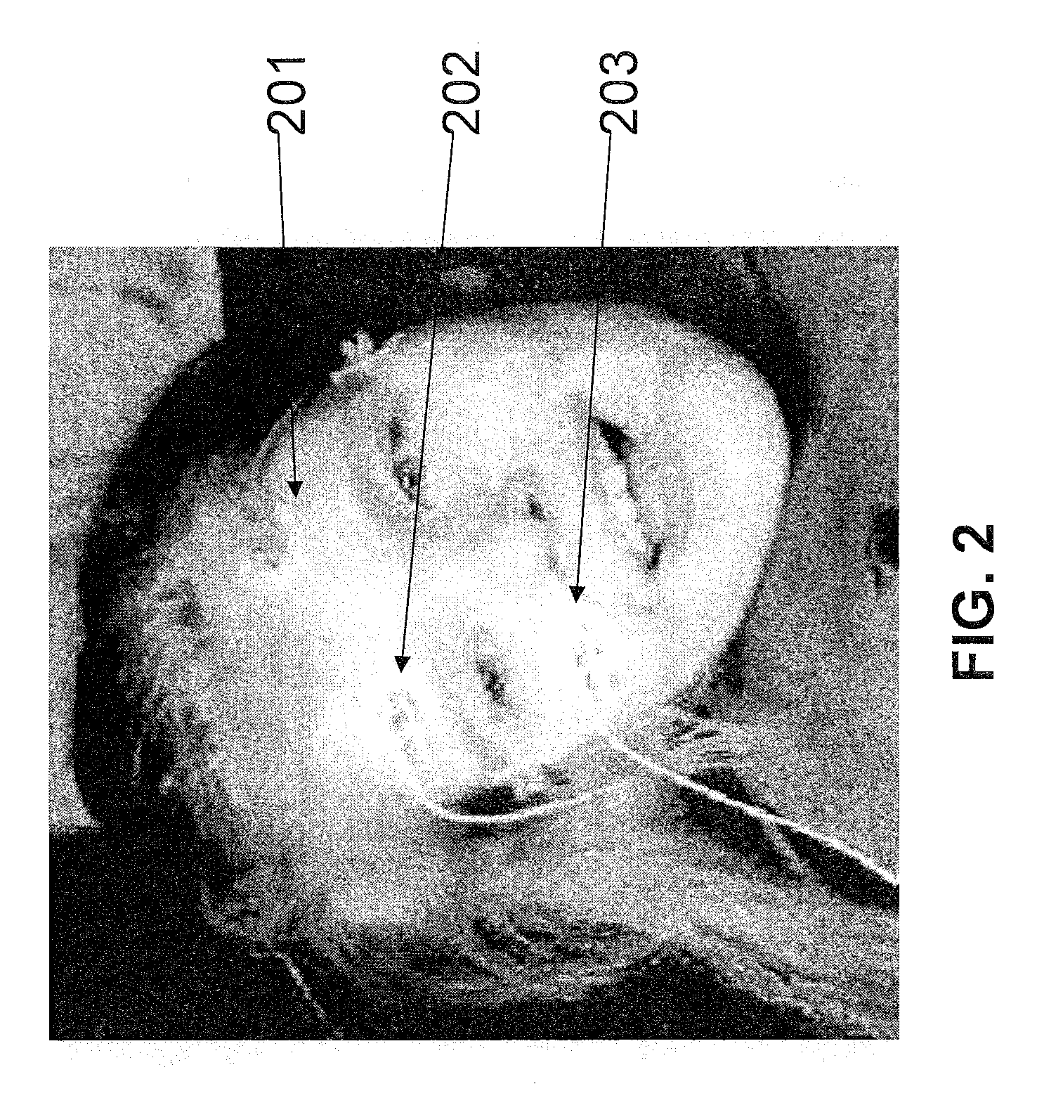 Eye tracking system and method