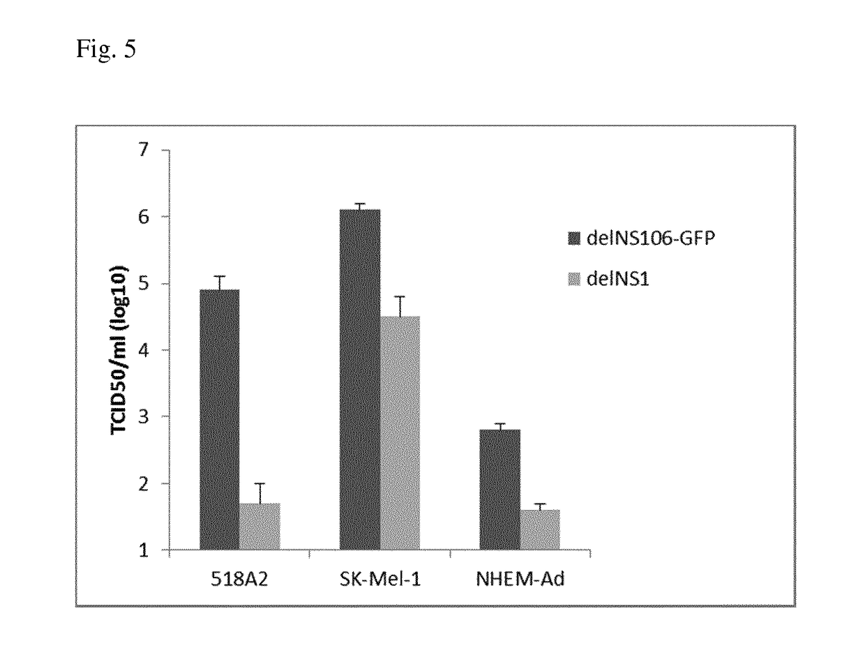 Influenza virus vector for virotherapy