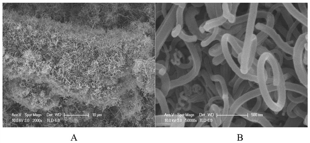 Preparation method of nitrogen-phosphorus co-doped carbon nanotube-coated cobalt-iron bimetallic alloy in-situ electrode