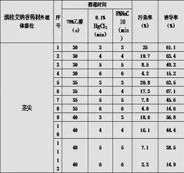 Rapid propagation method of Blumea riparia (Bl.) DC medicinal material