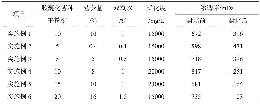 Biological profiling and plugging agent, preparation method and application