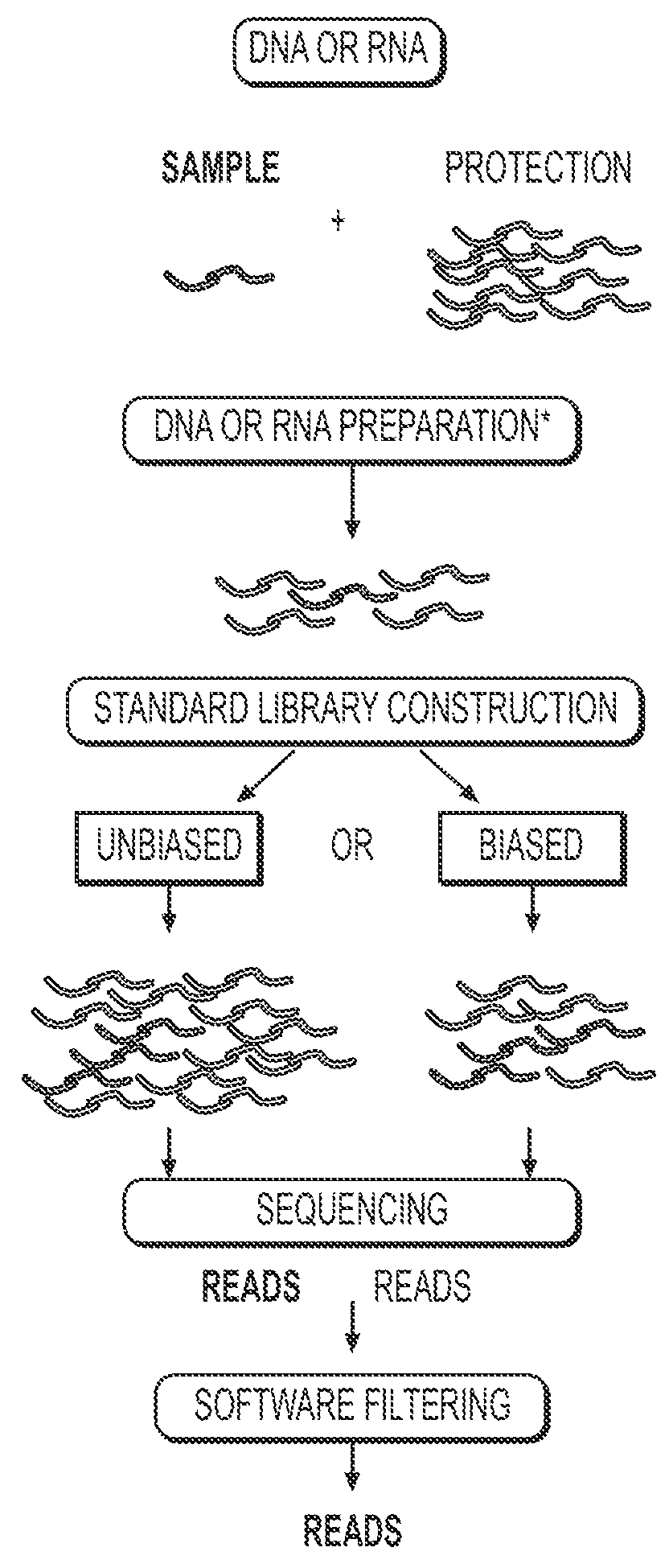 Methods of genome seqencing and epigenetic analysis