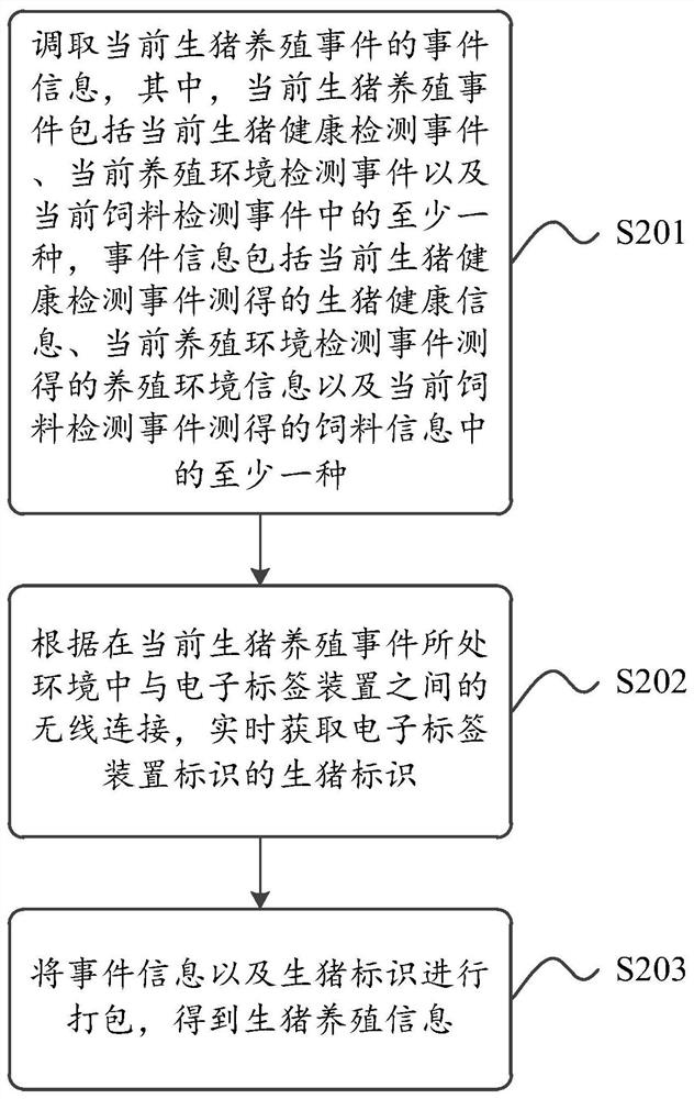 Live pig information processing method and device and block chain node equipment