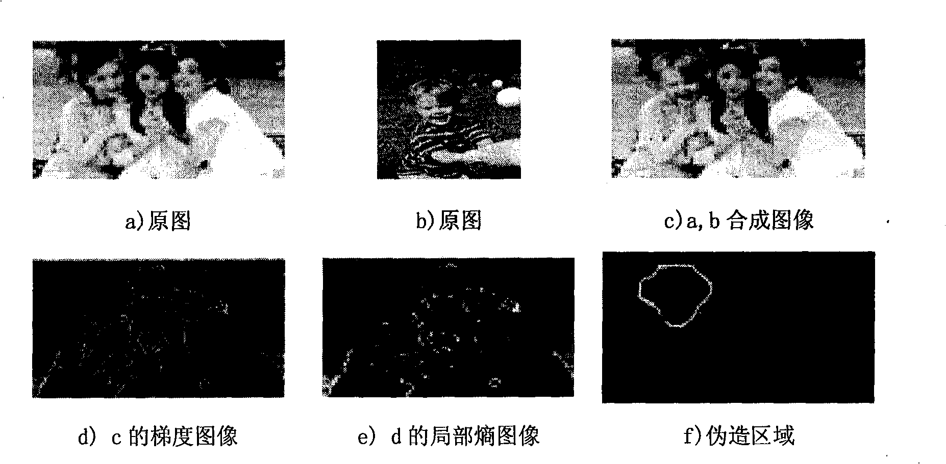Method for detecting content reliability of digital picture by utilizing gradient local entropy