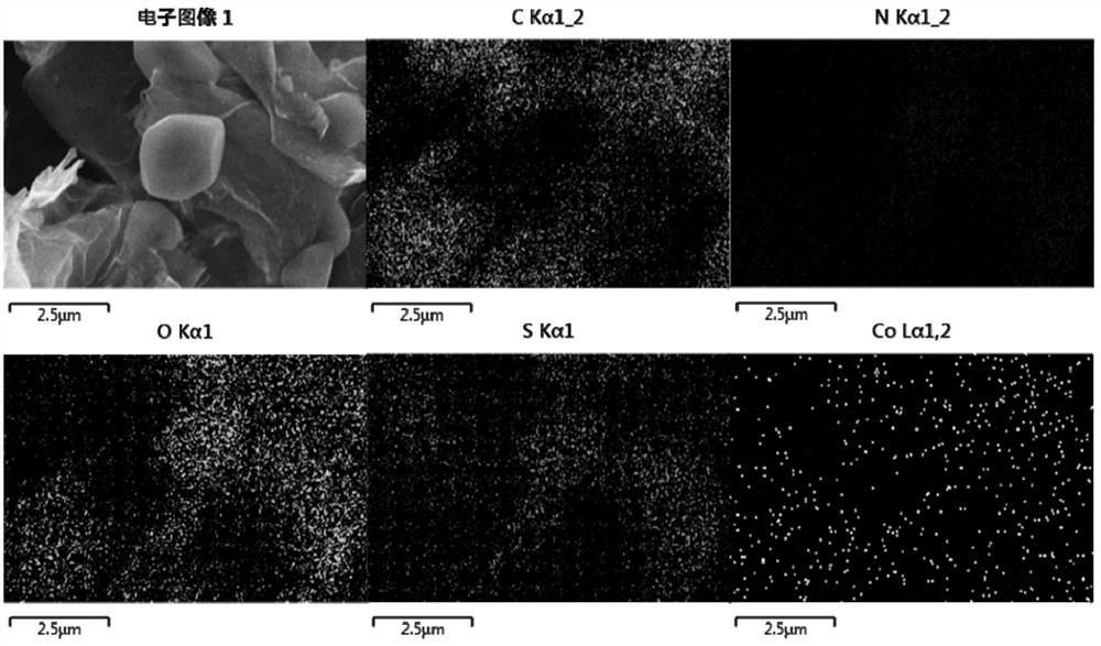 Heterogeneous Fenton catalyst of cobalt-sulfur co-doped graphene and its synthesis method and application