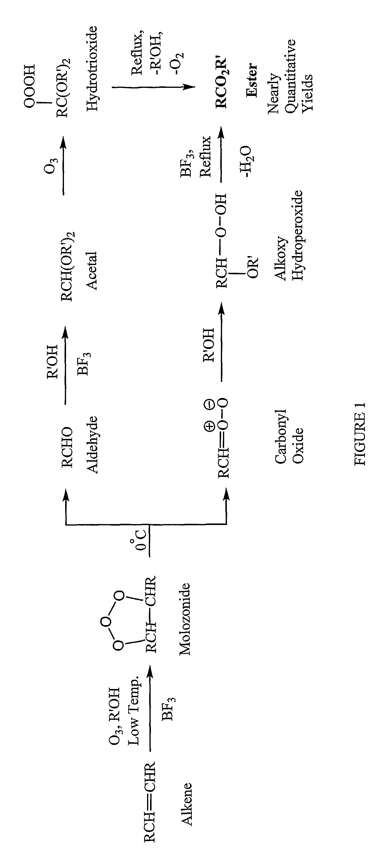 Methods for production of polyols from oils and their use in the production of polyesters and polyurethanes