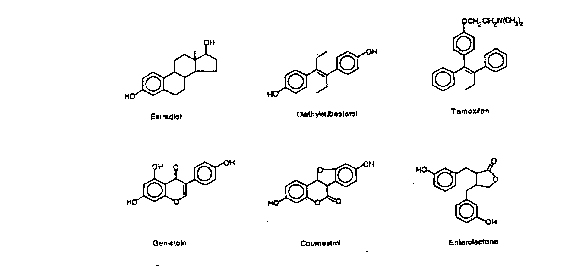 Composition containing Vitamin D and phytoestrogens