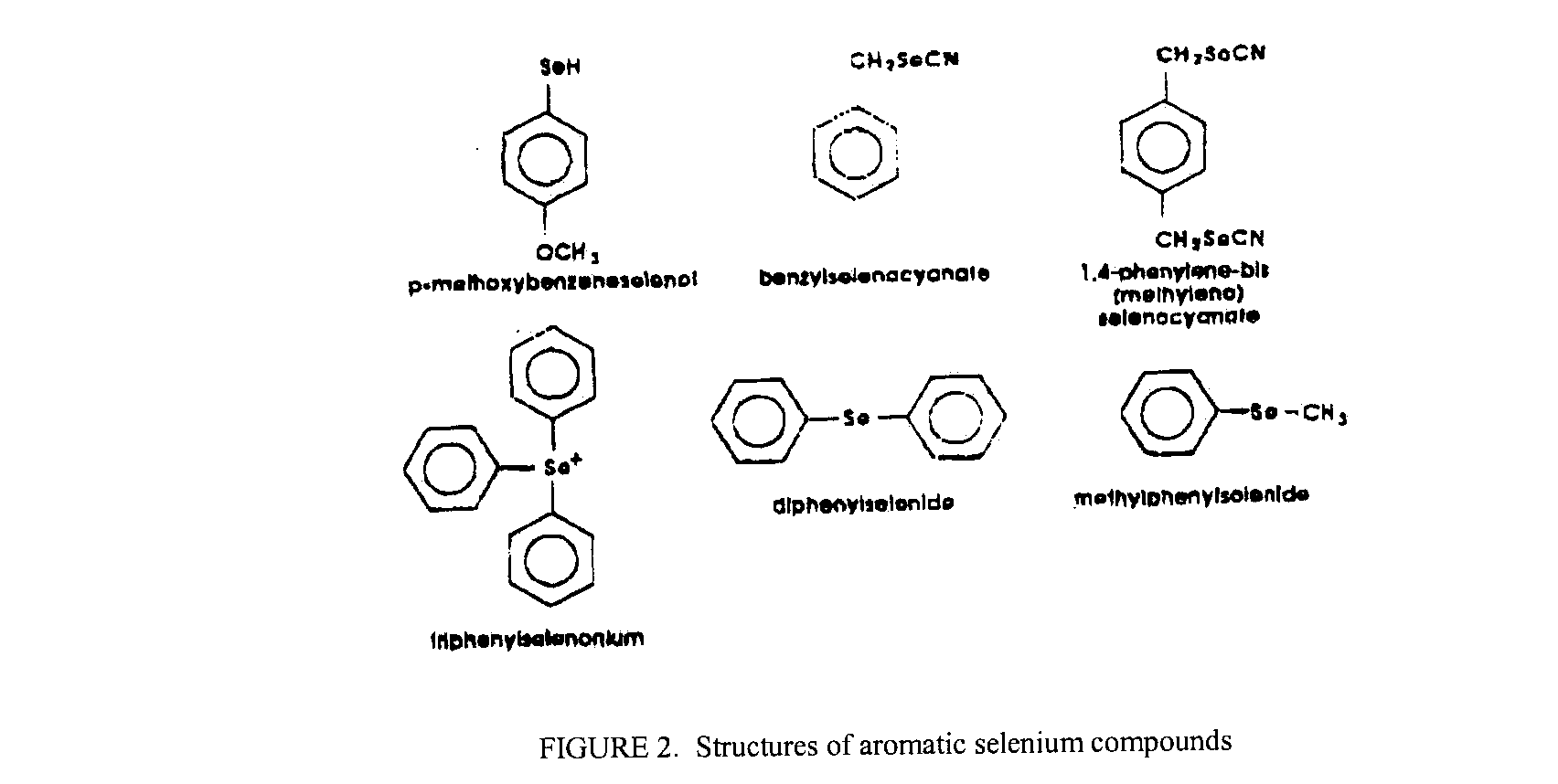 Composition containing Vitamin D and phytoestrogens
