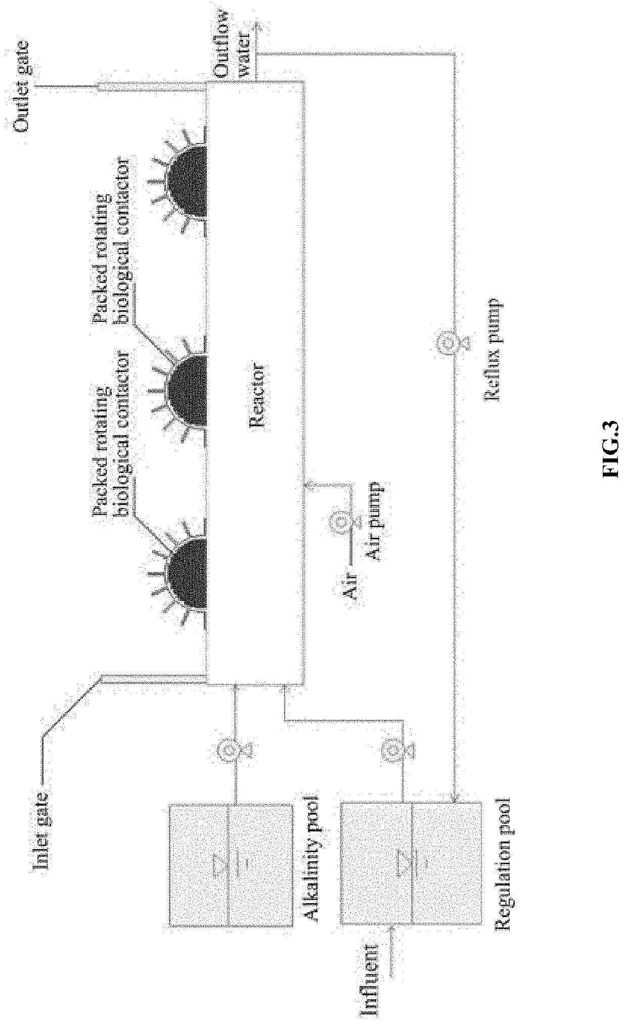 Packed rotating biological contactor and method for ammonia nitrogen conversion based on the packed rotating biological contactor