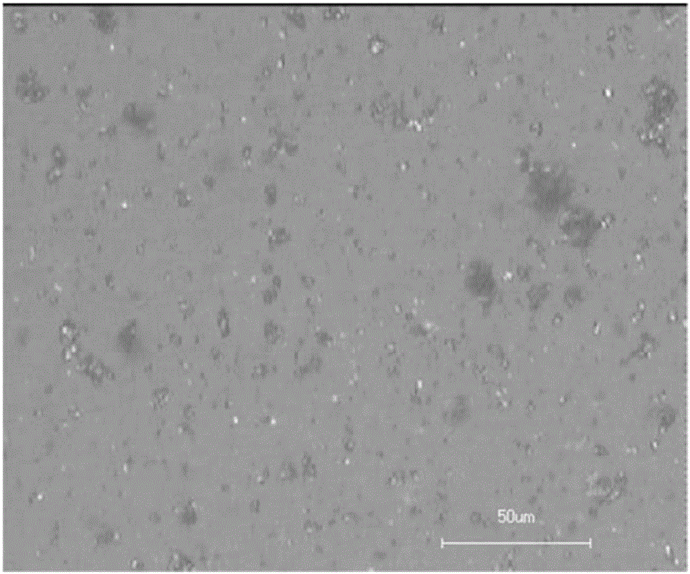 Compound salt and crystal form or amorphous material and preparation methods thereof, pharmaceutical composition containing compound salt and crystal form or amorphous material and application