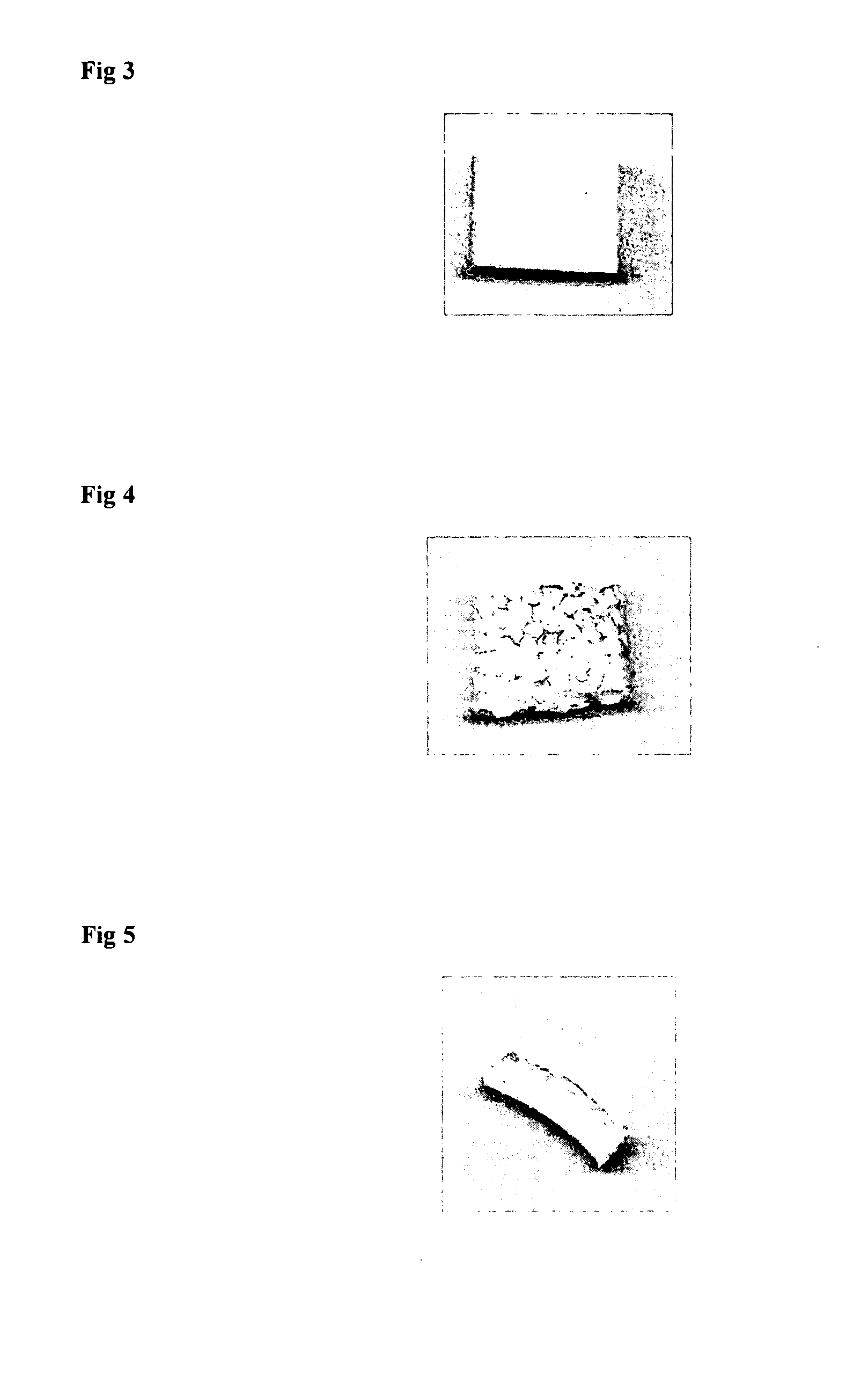 Expanded polystyrene bead having functional skin layer, manufacturing process thereof, and functional EPS product and manufacturing process thereof using the same