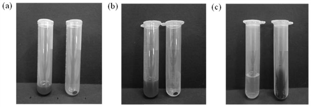 Method for purifying halide perovskite quantum dots based on dimethyl silicone oil