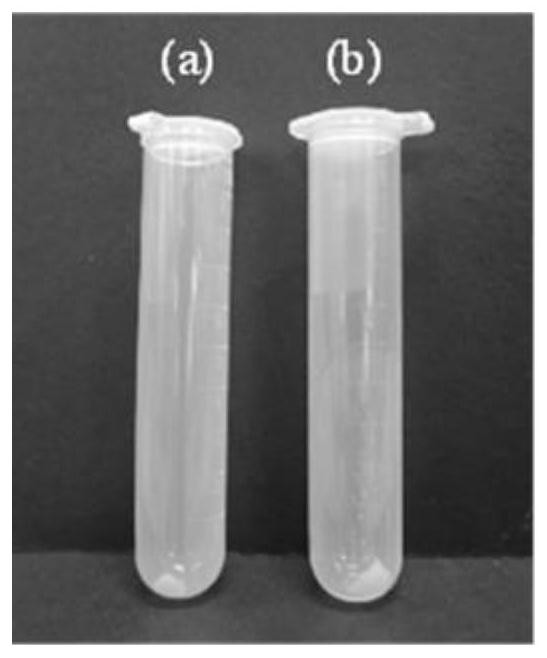 Method for purifying halide perovskite quantum dots based on dimethyl silicone oil