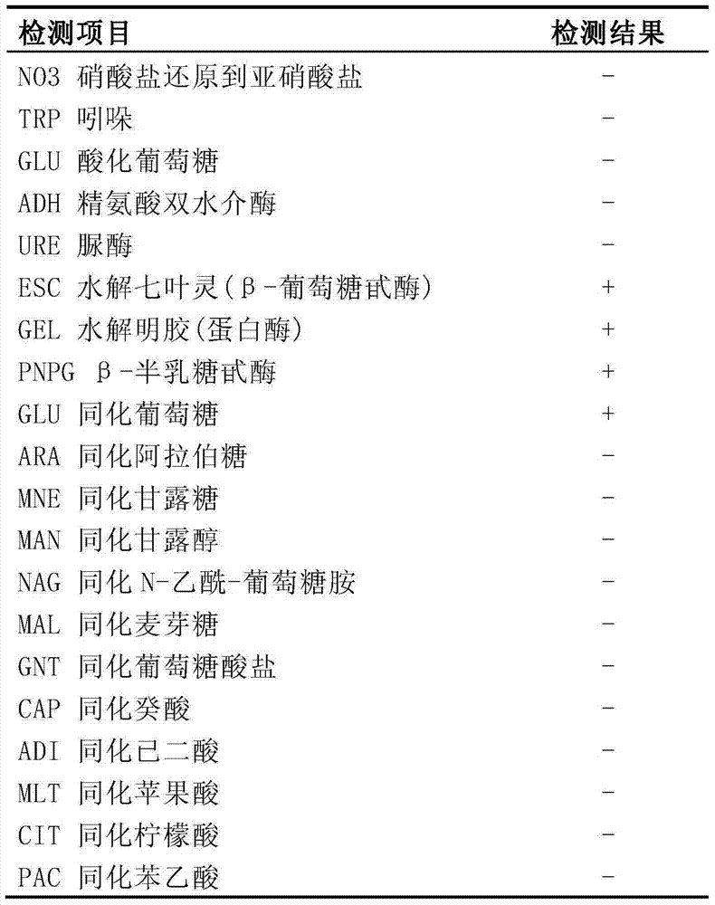 Sporolactobacillus terrae and application thereof