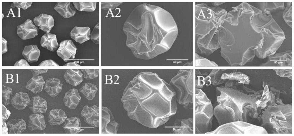 A resveratrol particle and its preparation method