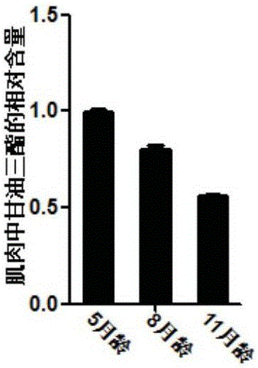 Method for detecting content of triglyceride in porcine muscle with gene PPARG