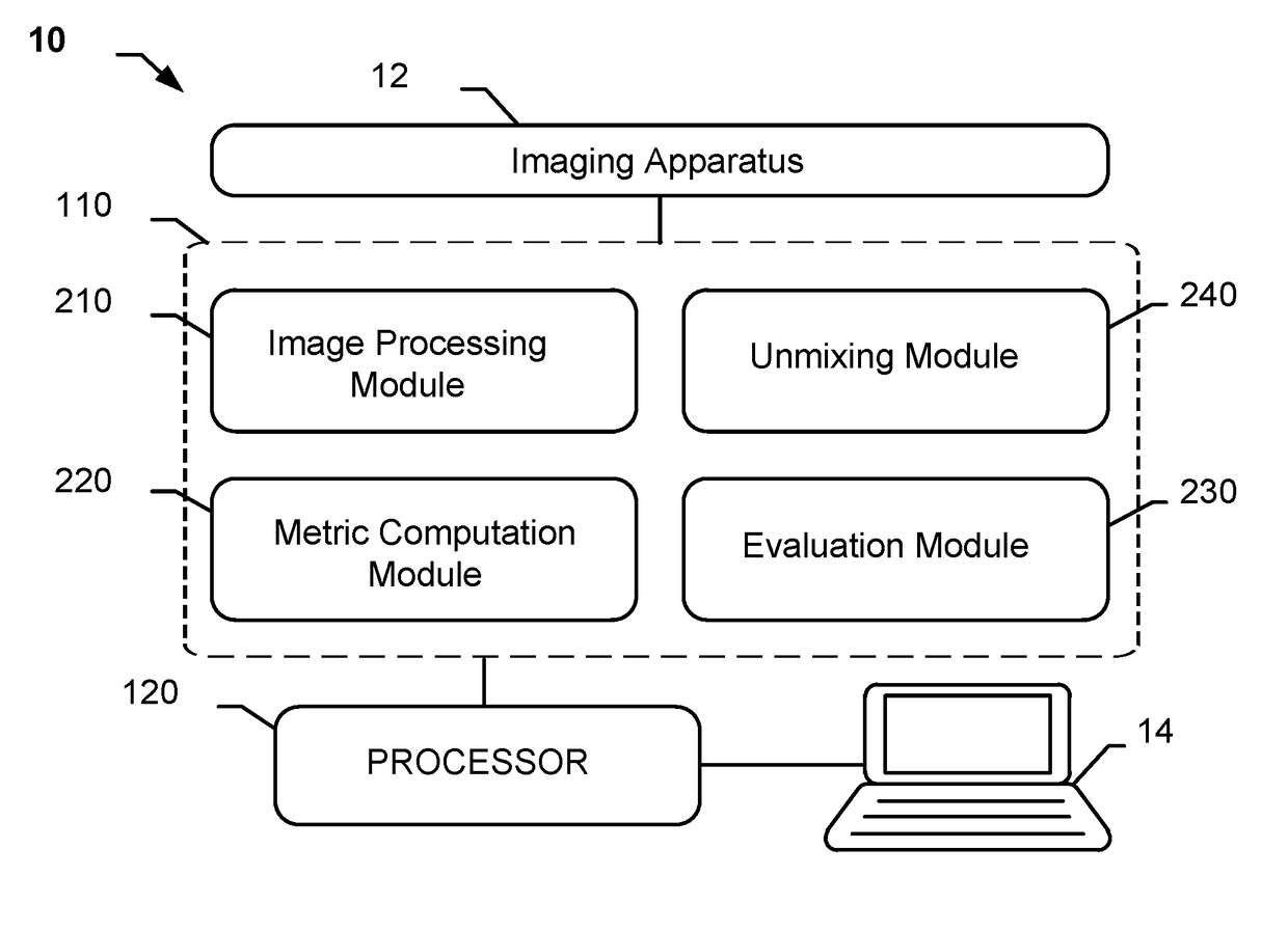 Descriptive Measurements and Quantification of Staining Artifacts for In Situ Hybridization