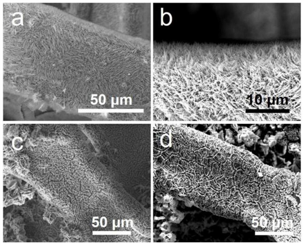 Foamed nickel-based erbium-doped nickel-cobalt bimetallic phosphide nano array as well as preparation method and application thereof
