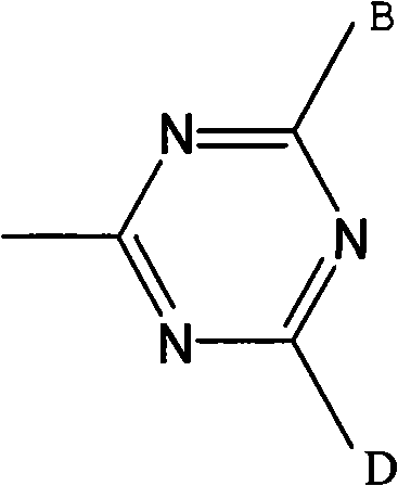 Amphoteric fluorescent whitening agent and preparation method thereof