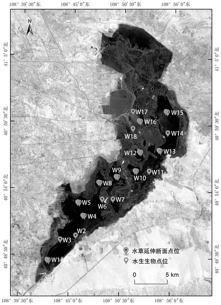 Prediction method for algal blooms of filamentous algae attached to aquatic plants