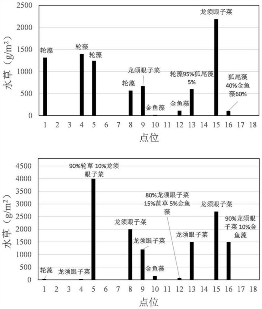 Prediction method for algal blooms of filamentous algae attached to aquatic plants