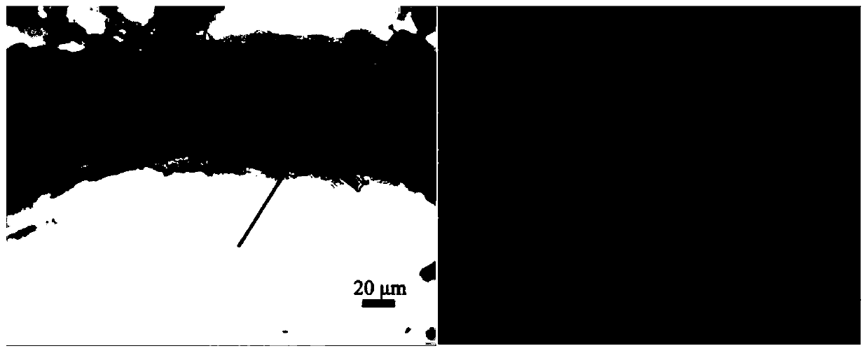 Detection method of biological soil crust polysaccharide