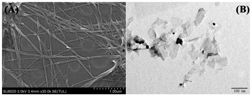 A method for detecting gsh using glutaraldehyde-chitosan non-conjugated fluorescent polymer as fluorescent probe