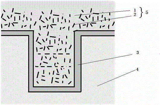 Solid electrolyte and capacitor thereof