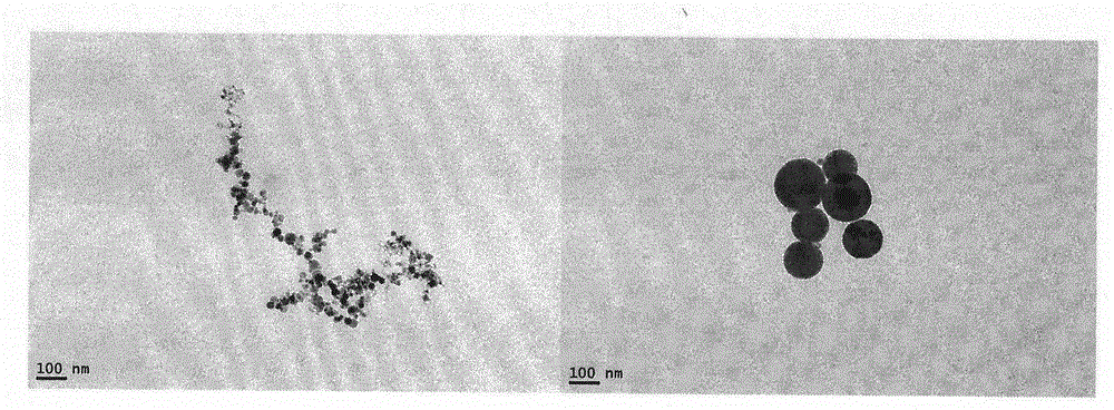 Octapeptide modified dexamethasone, preparation, nano-structure and application thereof