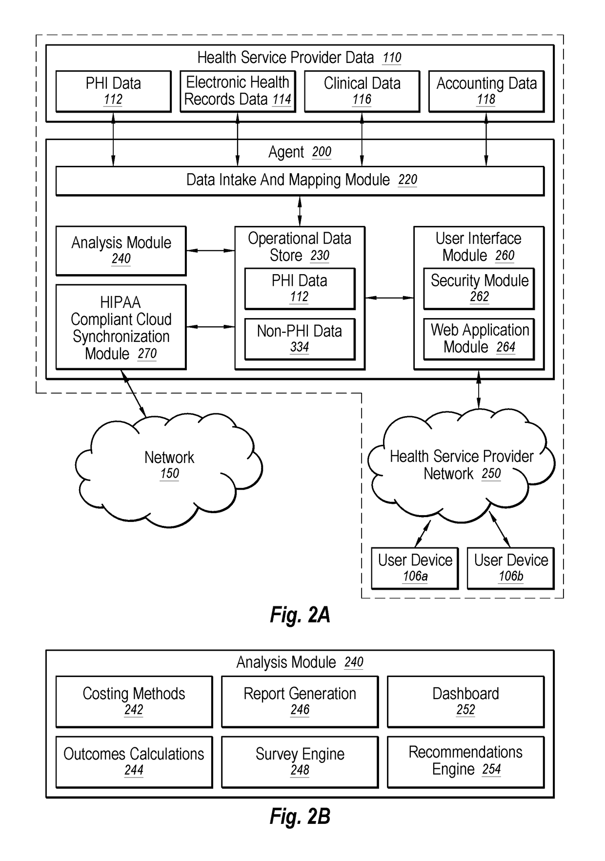 Agent for healthcare data application delivery