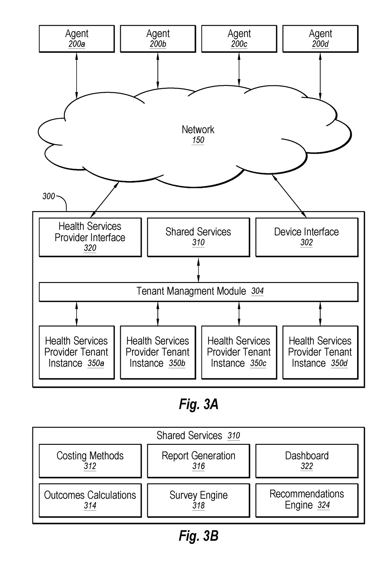 Agent for healthcare data application delivery
