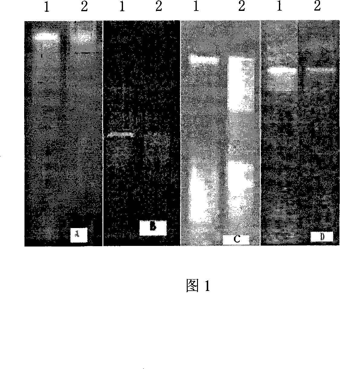 Method for extracting residual DNA in edible vegetable oil